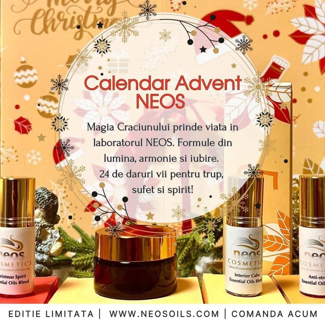 NEOS Advent Calendar 2025 β¨