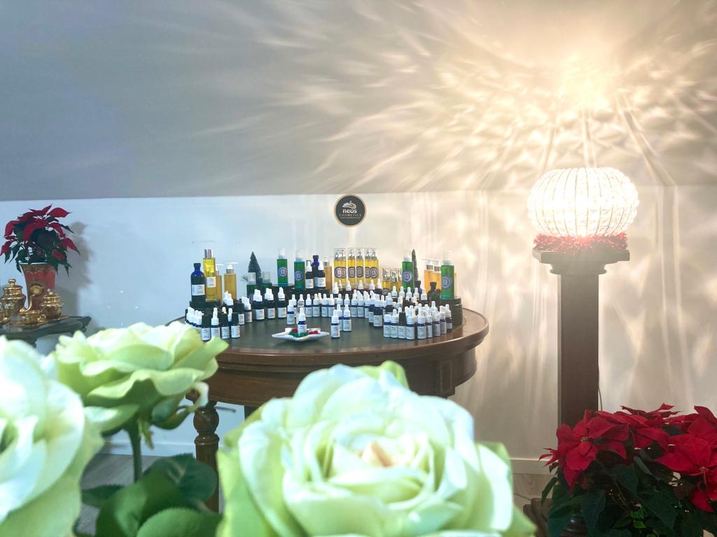 Rejuvenating the body through self-regeneration