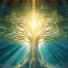 The Neos World -Chapter 1